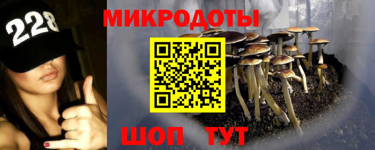 Галлюциногенные грибы прущие грибы Спасск-Дальний